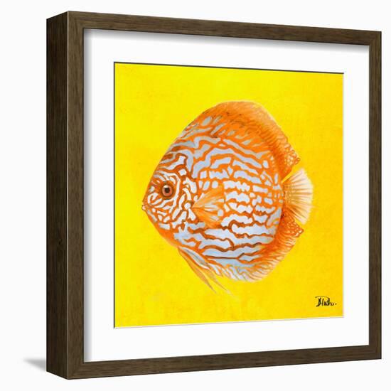 Bright Aquatic Life IV-Patricia Pinto-Framed Art Print