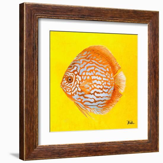 Bright Aquatic Life IV-Patricia Pinto-Framed Art Print