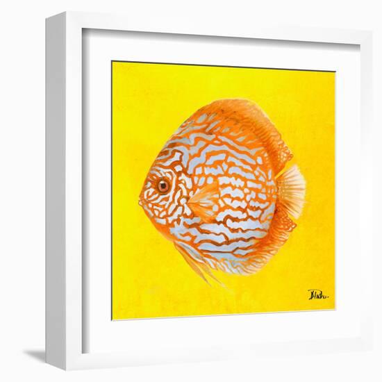 Bright Aquatic Life IV-Patricia Pinto-Framed Art Print