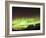 Bright Aurora Borealis, Annie Lake, Yukon, Canada-Stocktrek Images-Framed Photographic Print