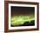 Bright Aurora Borealis, Annie Lake, Yukon, Canada-Stocktrek Images-Framed Photographic Print