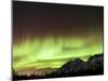 Bright Aurora Borealis, Annie Lake, Yukon, Canada-Stocktrek Images-Mounted Photographic Print