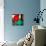 Bright Balloons-Nicole Katano-Mounted Photo displayed on a wall