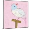 Bright Birds - Cheery-Joelle Wehkamp-Mounted Giclee Print