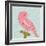 Bright Birds - Merry-Joelle Wehkamp-Framed Giclee Print