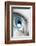 Bright Blue Eye Closeup-SSilver-Framed Photographic Print