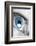 Bright Blue Eye Closeup-SSilver-Framed Photographic Print