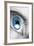 Bright Blue Eye Closeup-SSilver-Framed Photographic Print