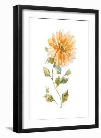 Bright Botanical II-Livi Finn-Framed Art Print