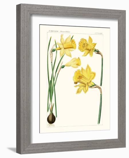 Bright Botanicals I-Unknown-Framed Art Print