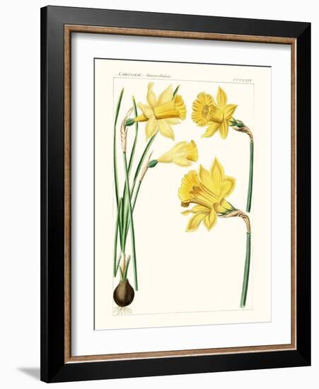 Bright Botanicals I-Unknown-Framed Art Print