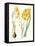 Bright Botanicals III-Unknown-Framed Stretched Canvas