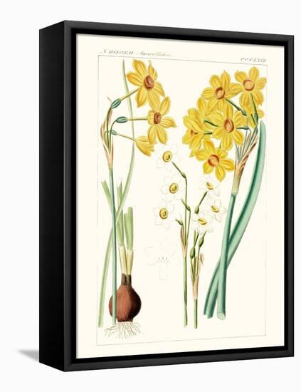 Bright Botanicals III-Unknown-Framed Stretched Canvas