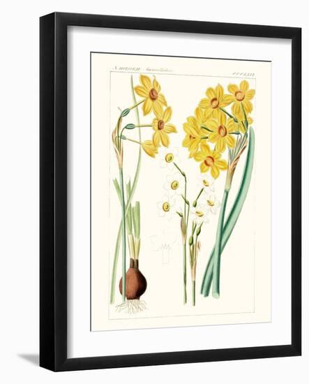 Bright Botanicals III-Unknown-Framed Art Print