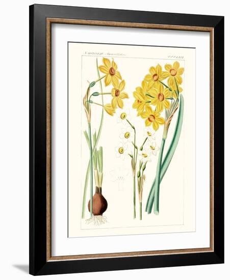 Bright Botanicals III-Unknown-Framed Art Print