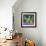 Bright Cactus 1-Holli Conger-Framed Giclee Print displayed on a wall