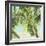 Bright Coconut Palm II-Patricia Pinto-Framed Art Print