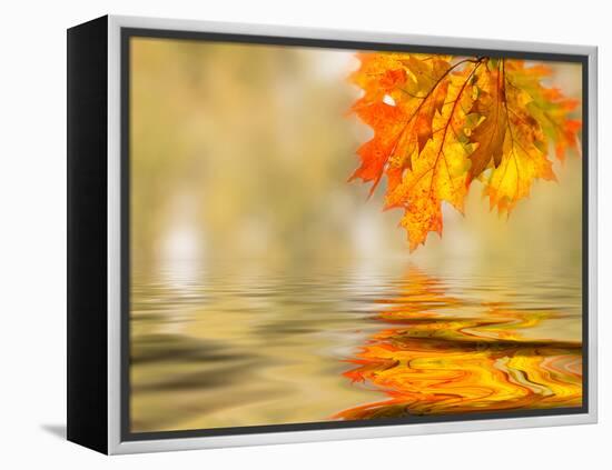 Bright Colored Leaves on the Branches in the Autumn Forest-Leonid Tit-Framed Premier Image Canvas