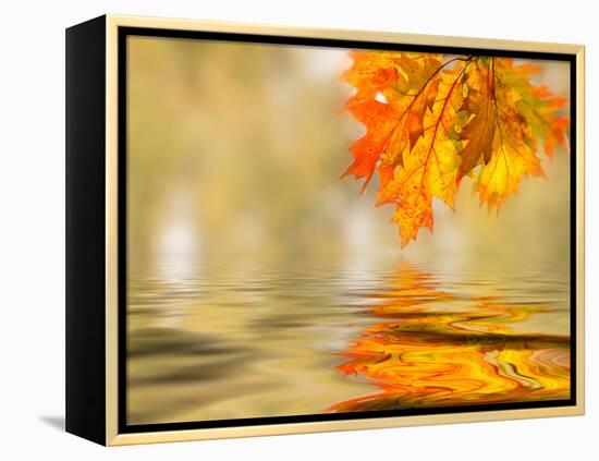 Bright Colored Leaves on the Branches in the Autumn Forest-Leonid Tit-Framed Premier Image Canvas