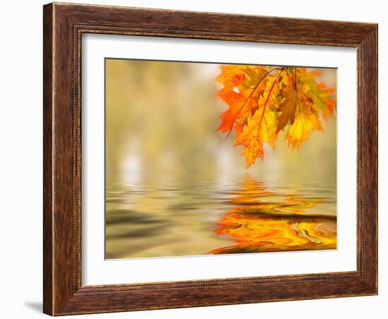 Bright Colored Leaves on the Branches in the Autumn Forest-Leonid Tit-Framed Photographic Print