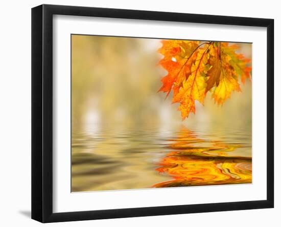 Bright Colored Leaves on the Branches in the Autumn Forest-Leonid Tit-Framed Photographic Print