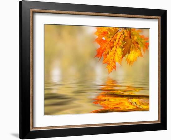 Bright Colored Leaves on the Branches in the Autumn Forest-Leonid Tit-Framed Photographic Print