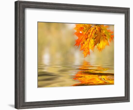 Bright Colored Leaves on the Branches in the Autumn Forest-Leonid Tit-Framed Photographic Print