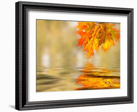 Bright Colored Leaves on the Branches in the Autumn Forest-Leonid Tit-Framed Photographic Print