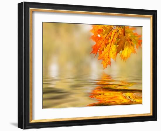 Bright Colored Leaves on the Branches in the Autumn Forest-Leonid Tit-Framed Photographic Print