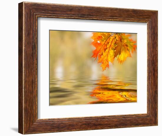 Bright Colored Leaves on the Branches in the Autumn Forest-Leonid Tit-Framed Photographic Print