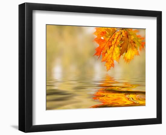 Bright Colored Leaves on the Branches in the Autumn Forest-Leonid Tit-Framed Photographic Print