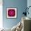 Bright Energetic Mandala Ornament from Flowers-Alaya Gadeh-Framed Photographic Print displayed on a wall