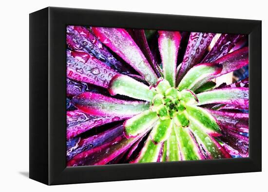 Bright Exotic I-Irena Orlov-Framed Premier Image Canvas