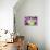 Bright Exotic I-Irena Orlov-Framed Premier Image Canvas displayed on a wall