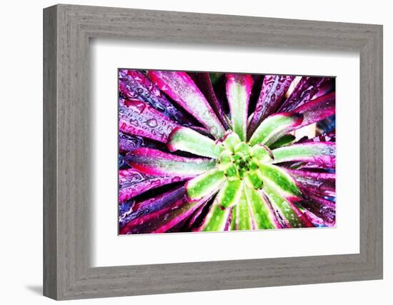 Bright Exotic I-Irena Orlov-Framed Photographic Print