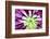 Bright Exotic I-Irena Orlov-Framed Photographic Print