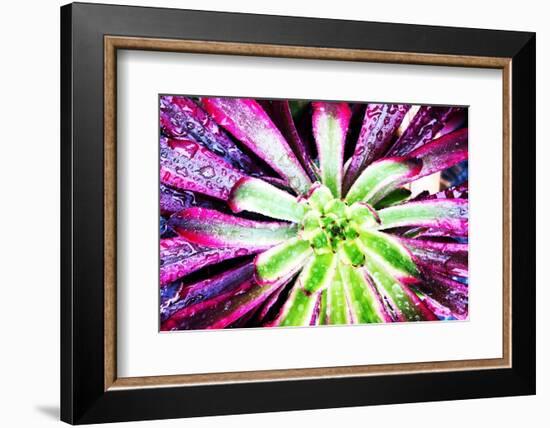 Bright Exotic I-Irena Orlov-Framed Photographic Print