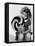 Bright Eyes, Shirley Temple Eating a Big Lollipop, 1934-null-Framed Stretched Canvas