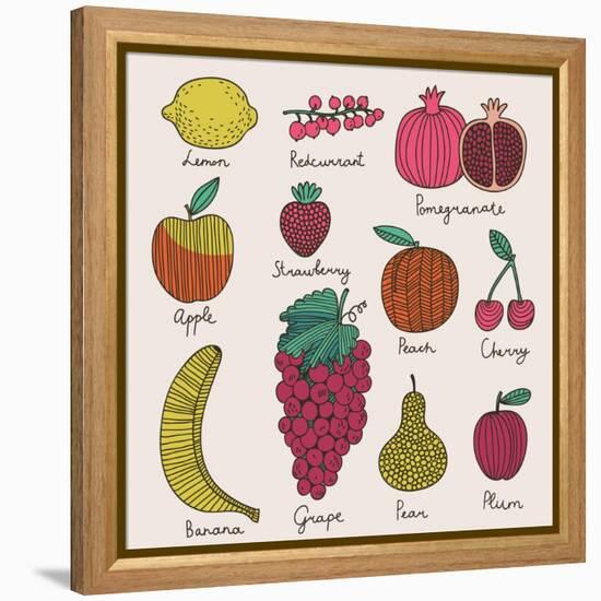 Bright Fruit and Berries Set in Vector. Lemon, Redcurrant, Apple, Strawberry, Banana, Grape, Pomegr-smilewithjul-Framed Stretched Canvas