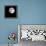 Bright Full Moon in a Black Night Sky-Janis Miglavs-Framed Premier Image Canvas displayed on a wall