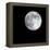 Bright Full Moon in a Black Night Sky-Janis Miglavs-Framed Premier Image Canvas