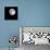 Bright Full Moon in a Black Night Sky-Janis Miglavs-Framed Premier Image Canvas displayed on a wall