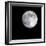 Bright Full Moon in a Black Night Sky-Janis Miglavs-Framed Photographic Print