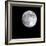 Bright Full Moon in a Black Night Sky-Janis Miglavs-Framed Photographic Print