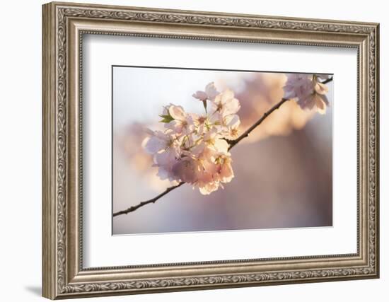 Bright idea-Nancy Crowell-Framed Photographic Print