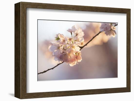 Bright idea-Nancy Crowell-Framed Photographic Print