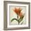 Bright Lily I-Judy Stalus-Framed Art Print