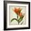 Bright Lily I-Judy Stalus-Framed Art Print