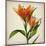 Bright Lily I-Judy Stalus-Mounted Art Print