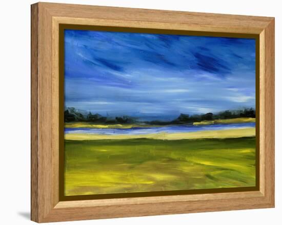 Bright Marsh III-Erin McGee Ferrell-Framed Stretched Canvas